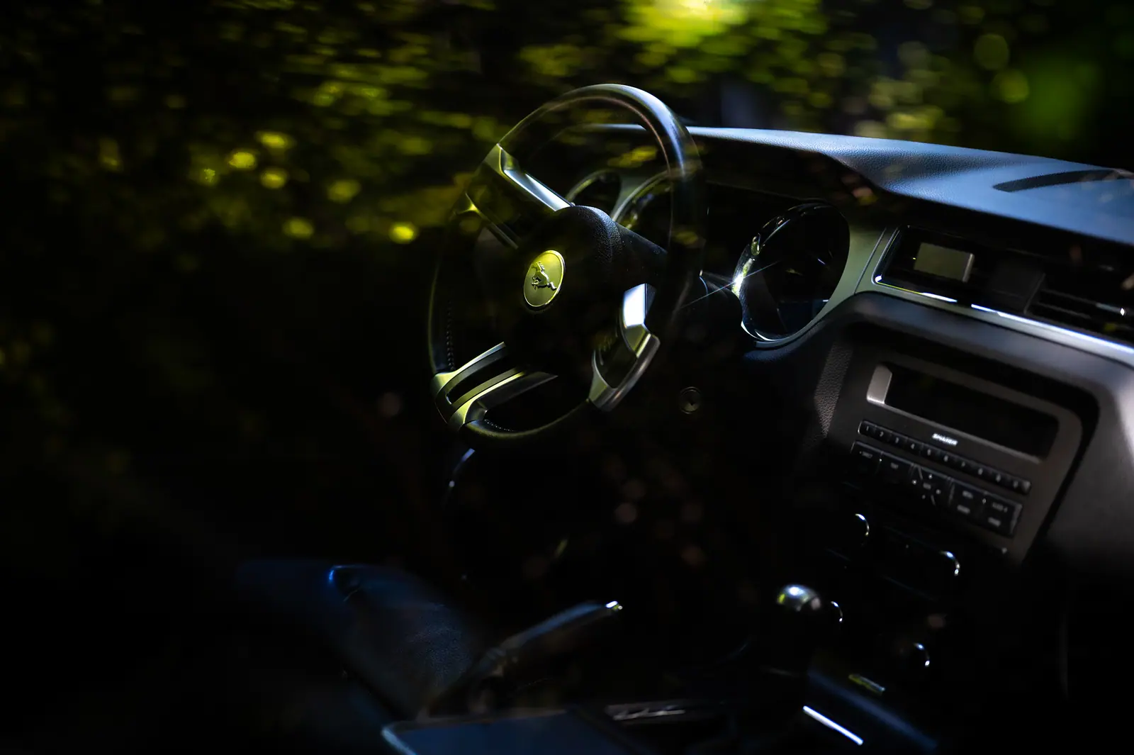 Mustang dashboard and steering wheel in green, dappled light