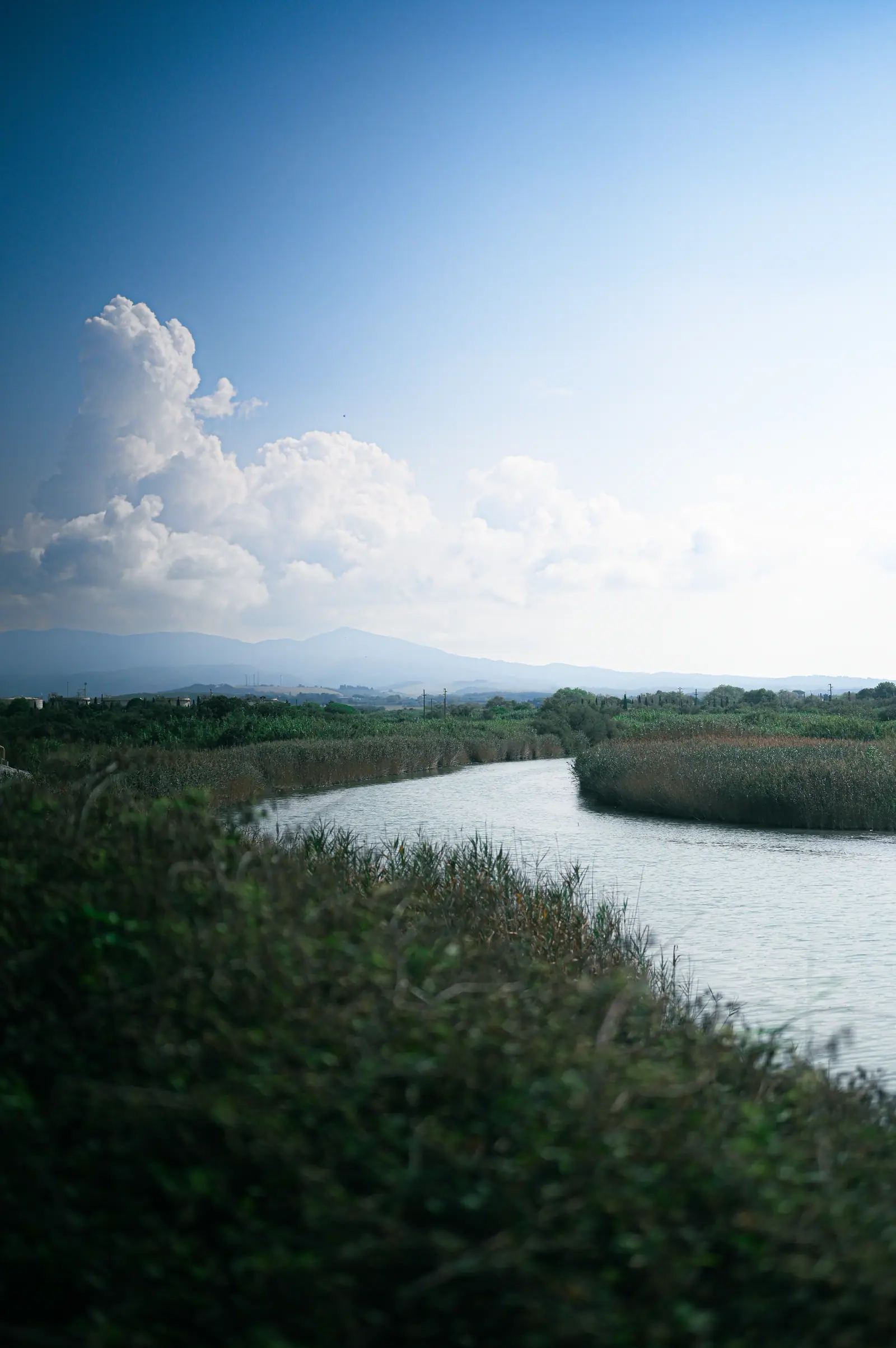 Travel Journal, frame 4