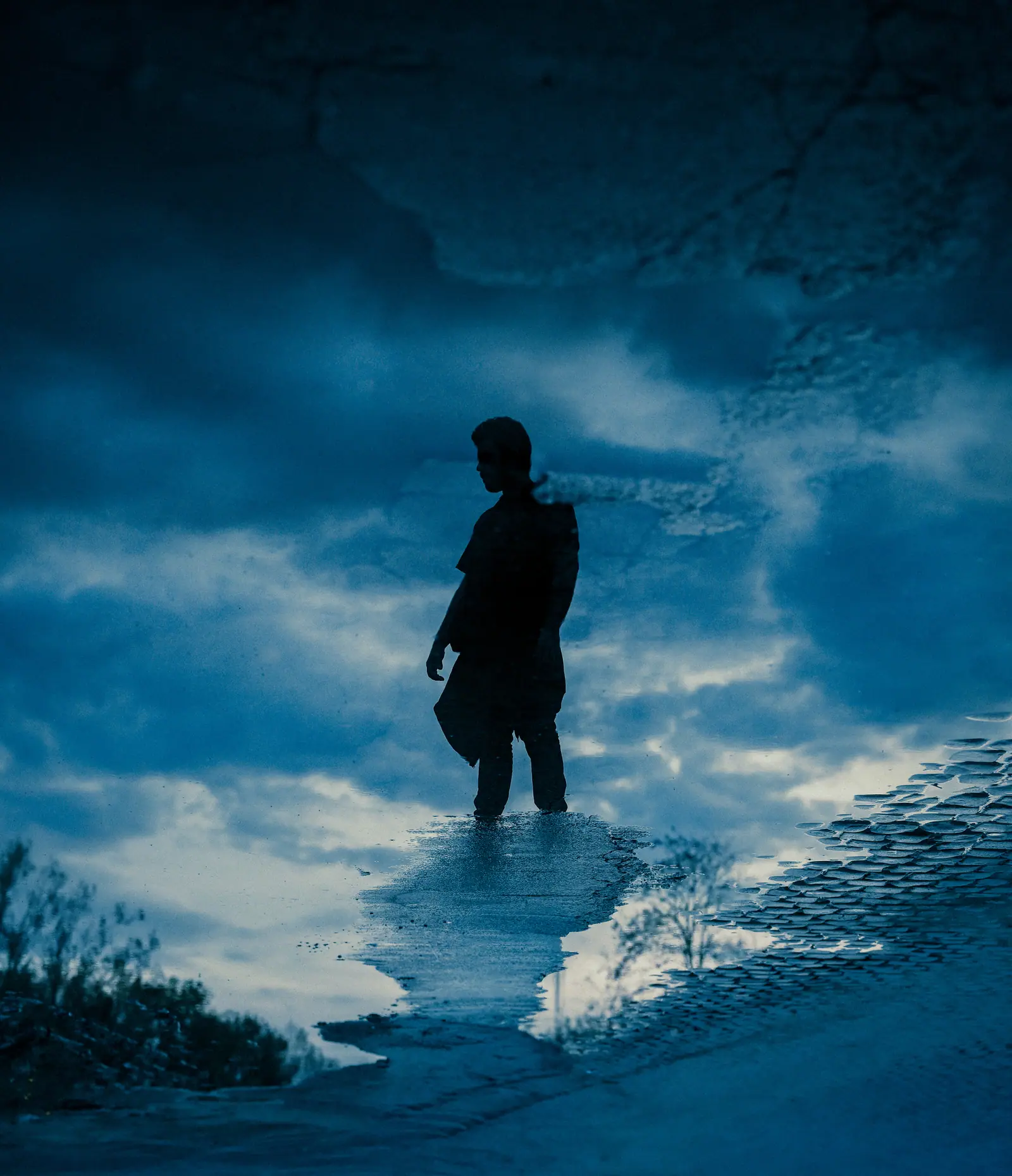 Visual Storytelling, frame 12